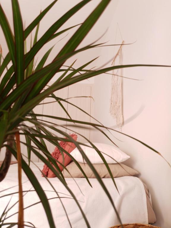 The Terrace House - Grémio — photo 1