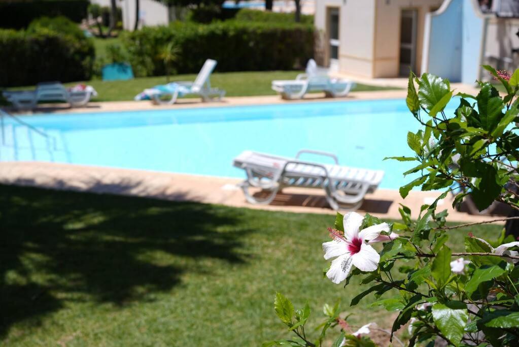 Spacious Portuguese flat with pool next to beach — photo 1