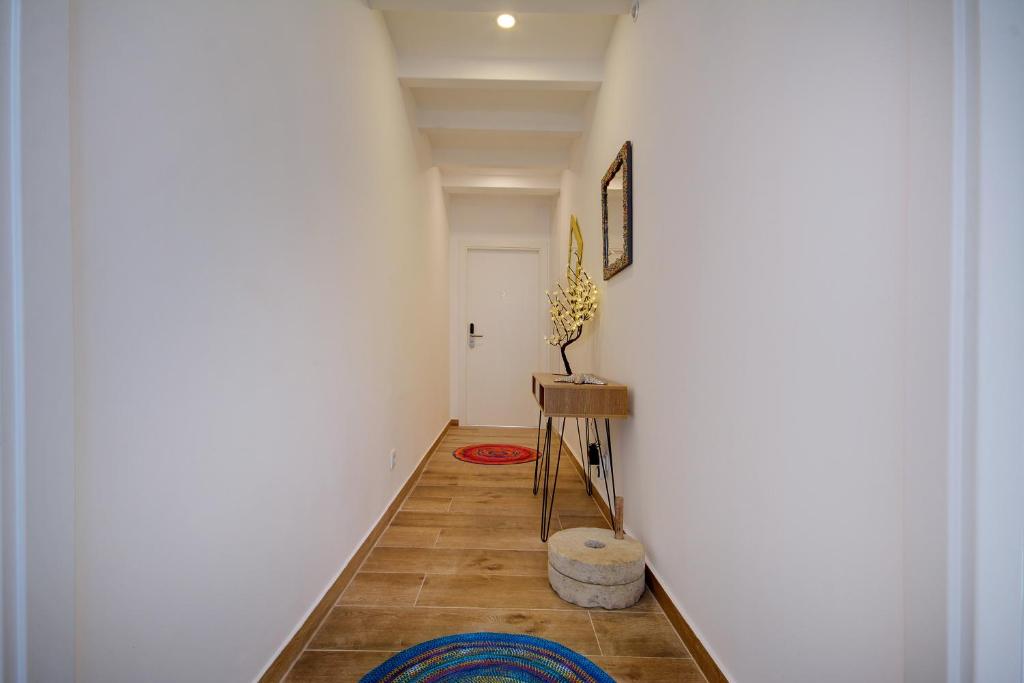Terrace Barqueta Studio photo 3