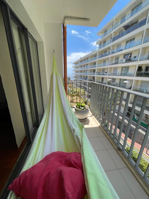 Suite Palms — photo 1