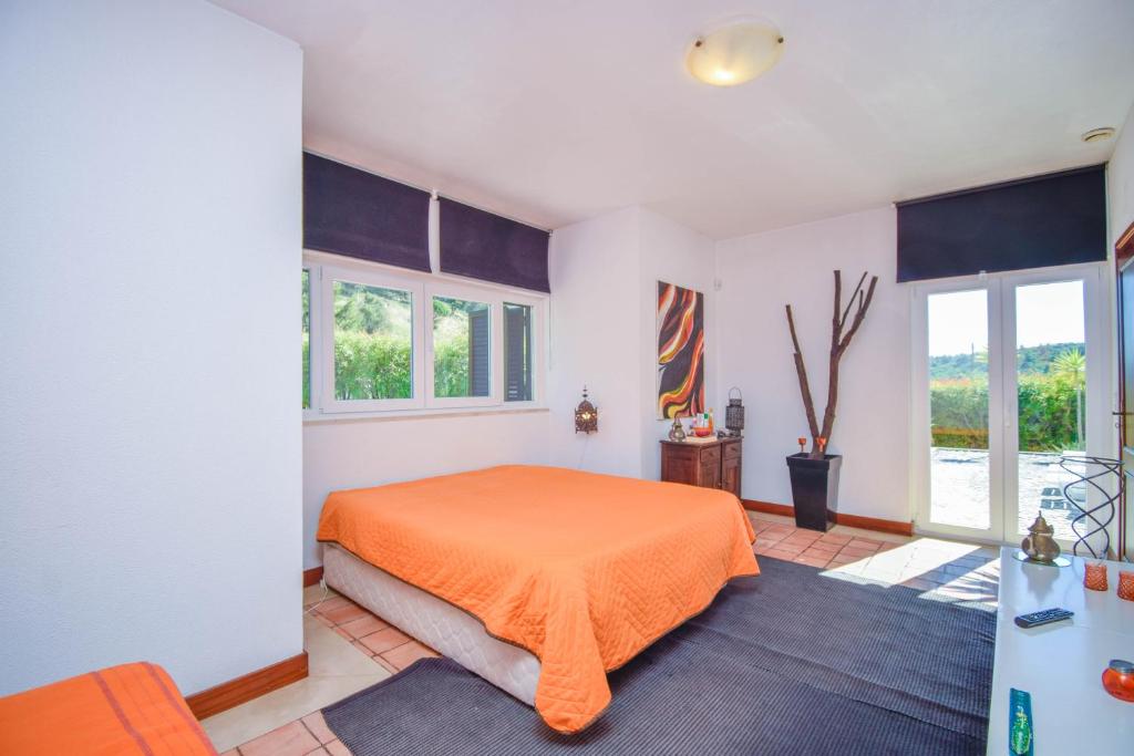 Yuccas House photo 2