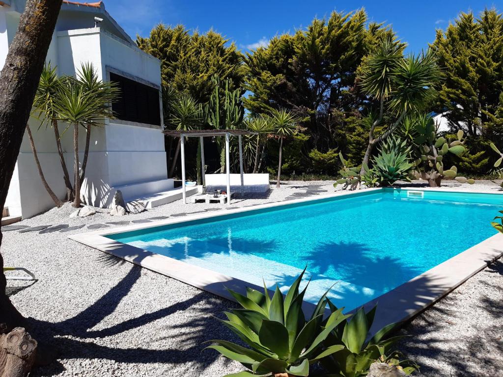 Yuccas House photo 3