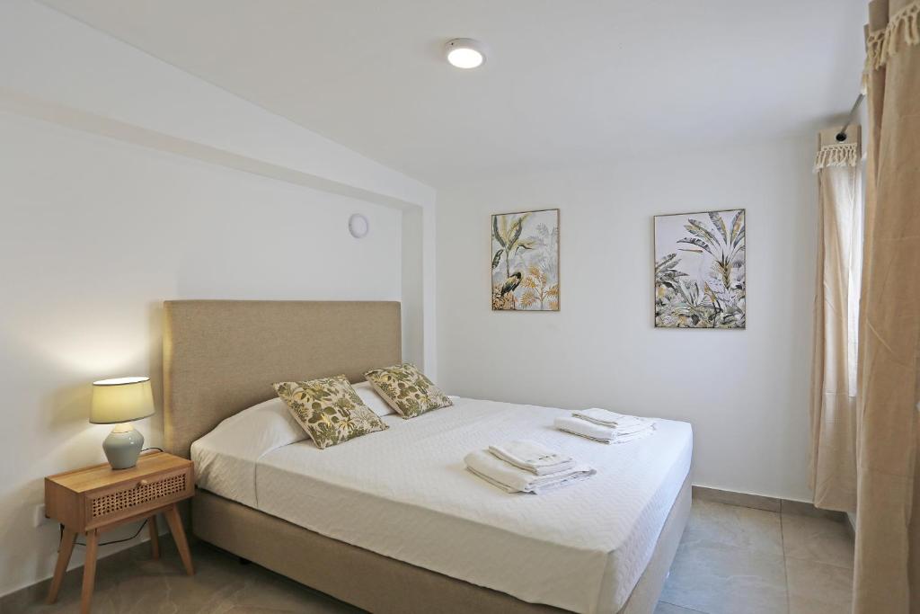 B88 - Mendonça Street Apartment photo 2