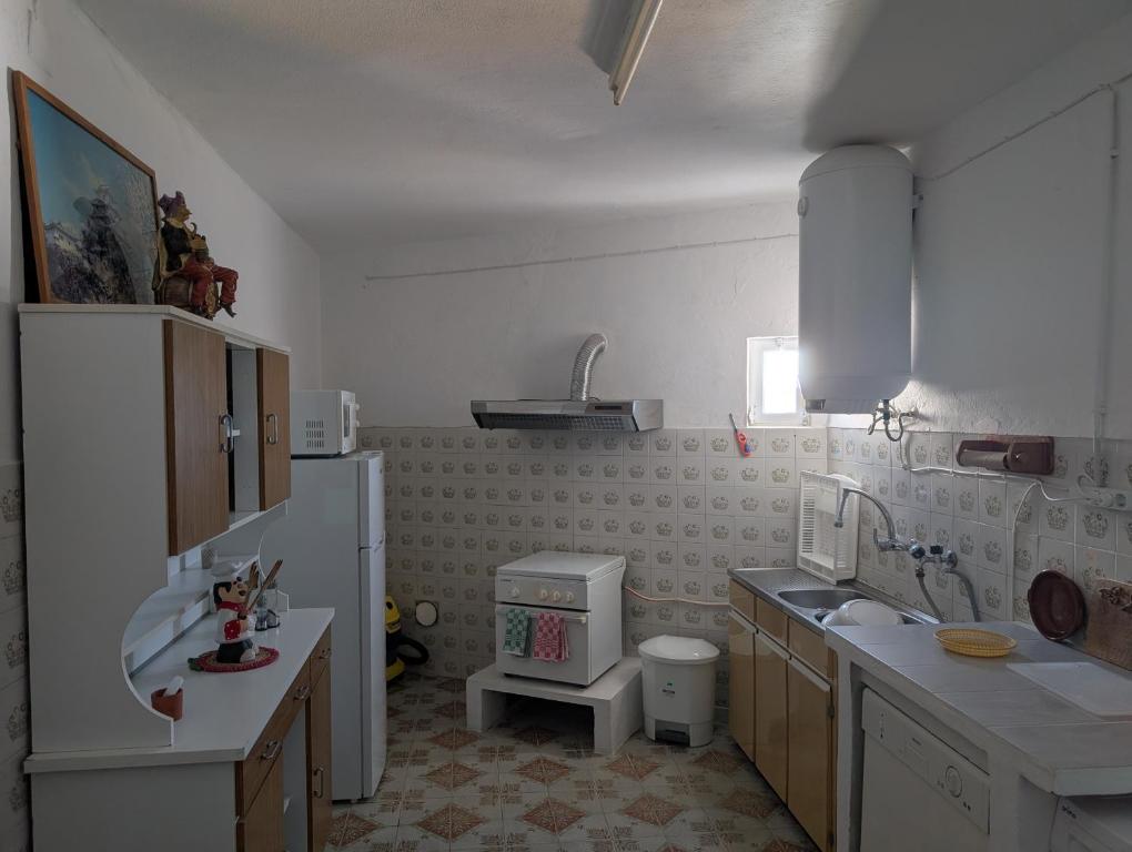 Seesterne photo 3