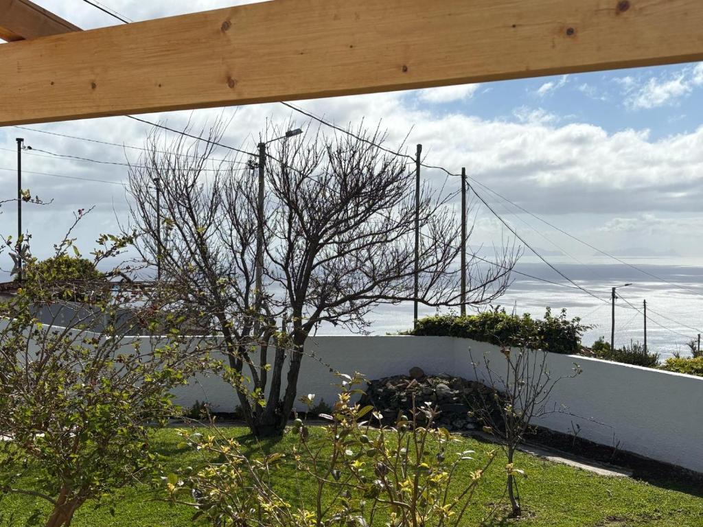 The Blue Cottage photo 2