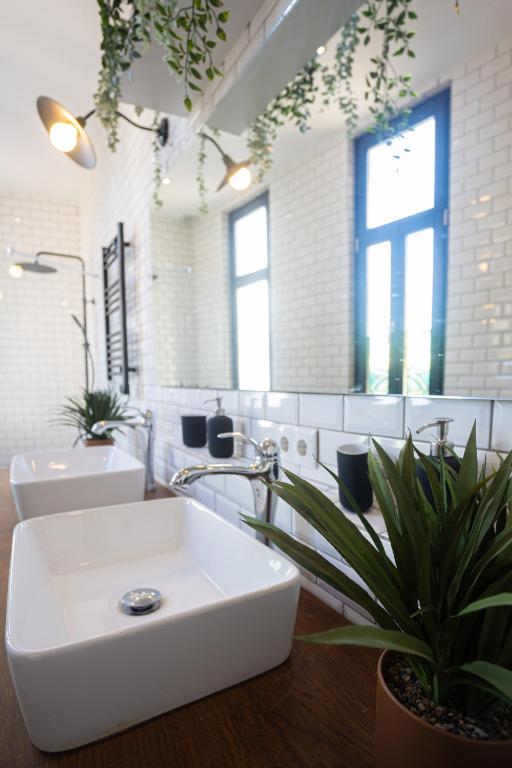 Amazing Family Flat in Center Porto photo 3