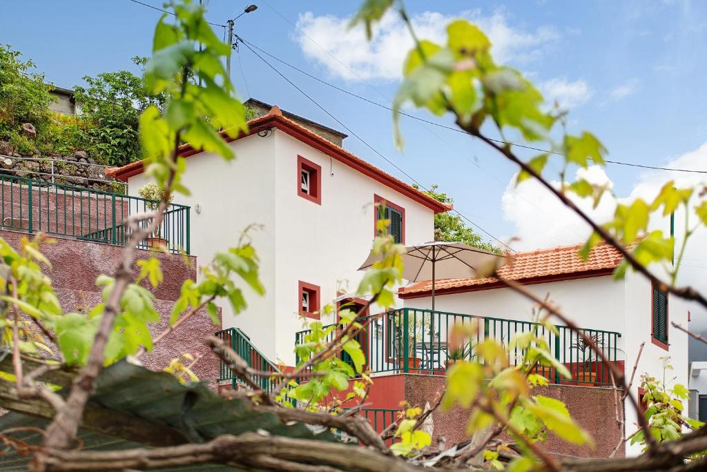 São Vicente House — photo 1