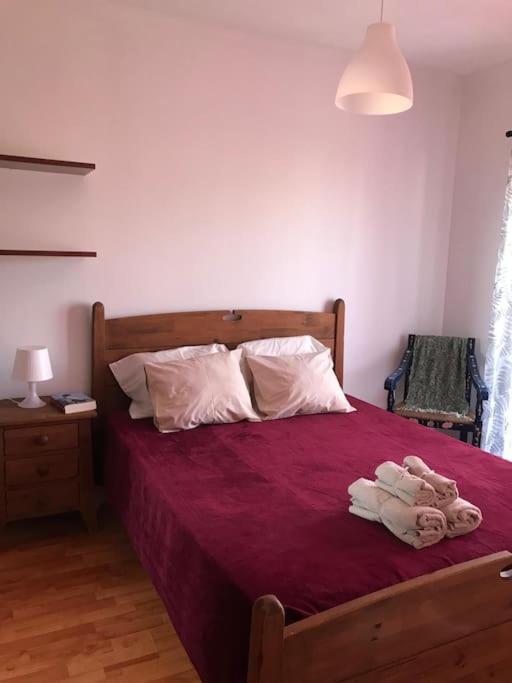 The South Sunny House - A Casa a Sul photo 2