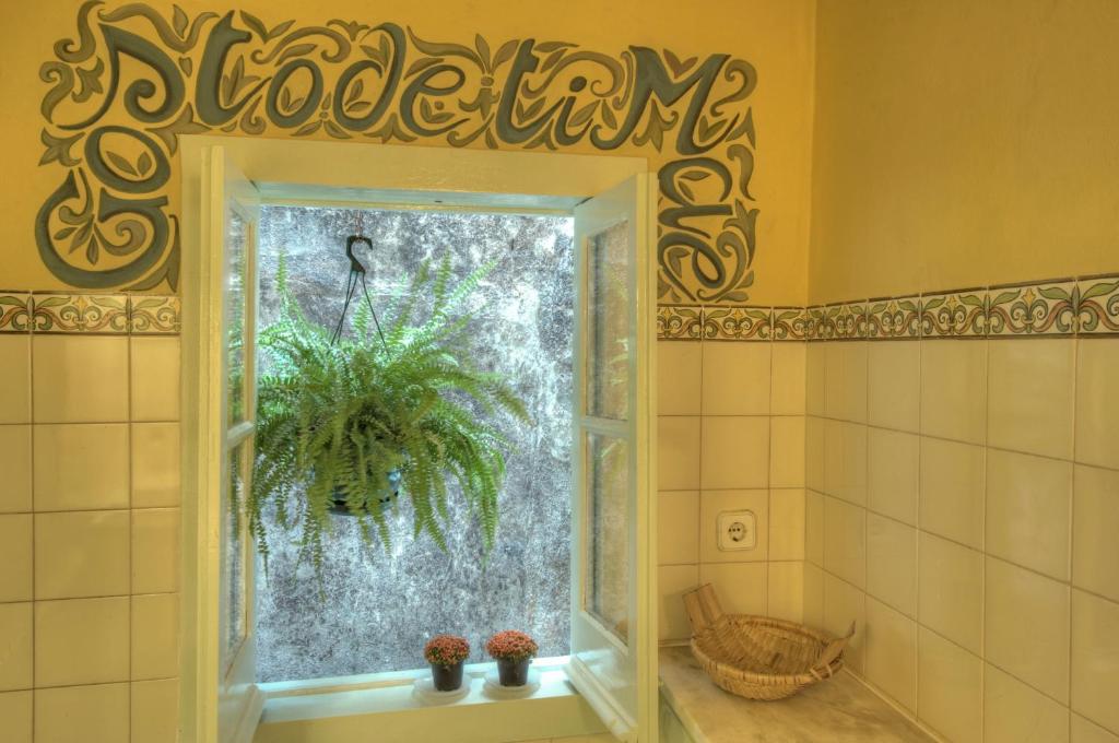 Stay local in Alfama! Alice central home photo 3