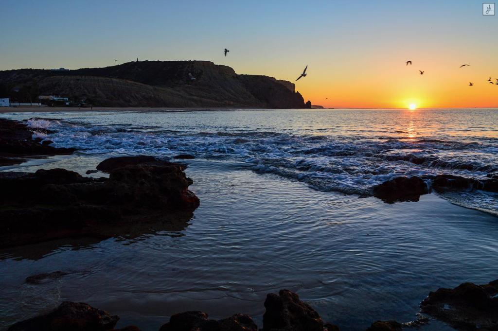 Gaivota Apartment — photo 1