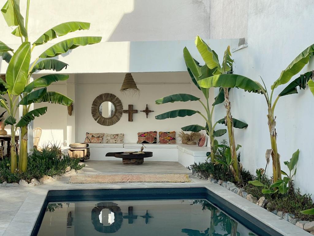 Stylish house in Alentejo photo 3