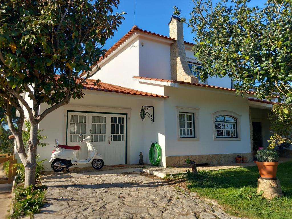 The Space - Central Portugal photo 2
