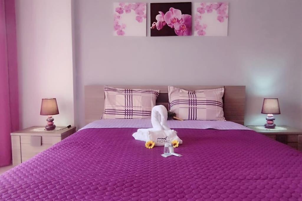 Sweet Home Casa dos Arcos 409 photo 2