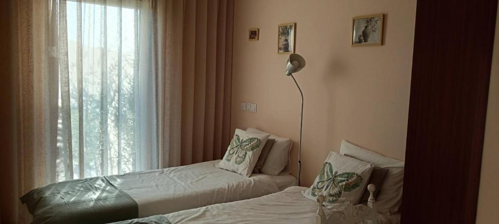 Moimenta Guest House photo 2