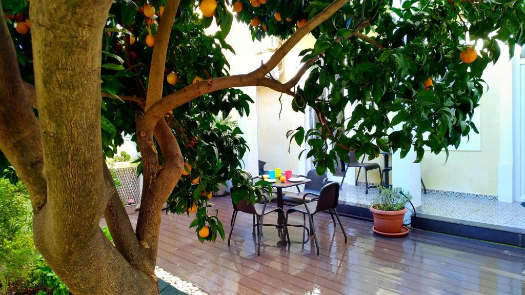 Sunny orange garden apartment in central Lisbon — photo 1