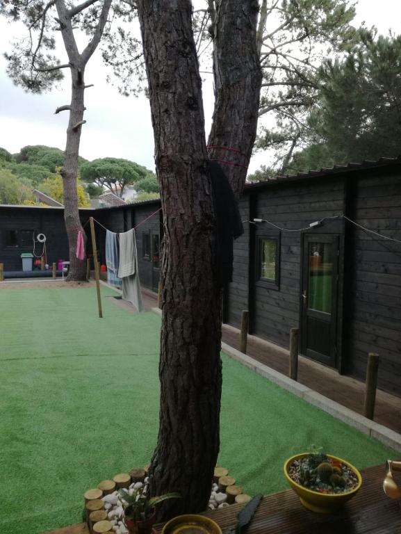 Surf Camp Ecológico — photo 1