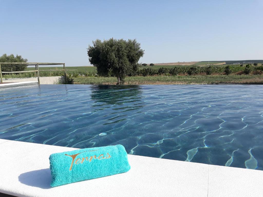 Terras - Agroturismo & Vinhos — photo 1