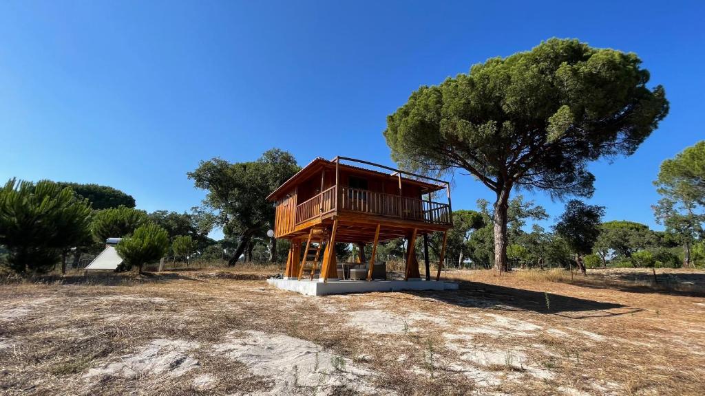Suspended Wooden House - Monte da Cortiça — photo 1