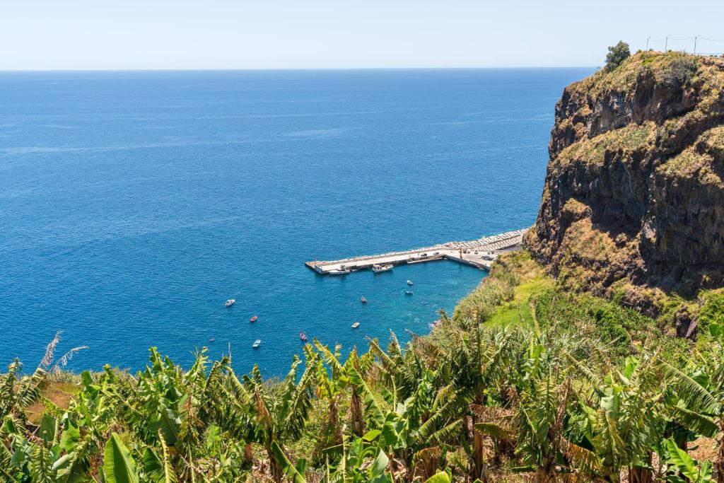 Sonho do Oceano photo 3