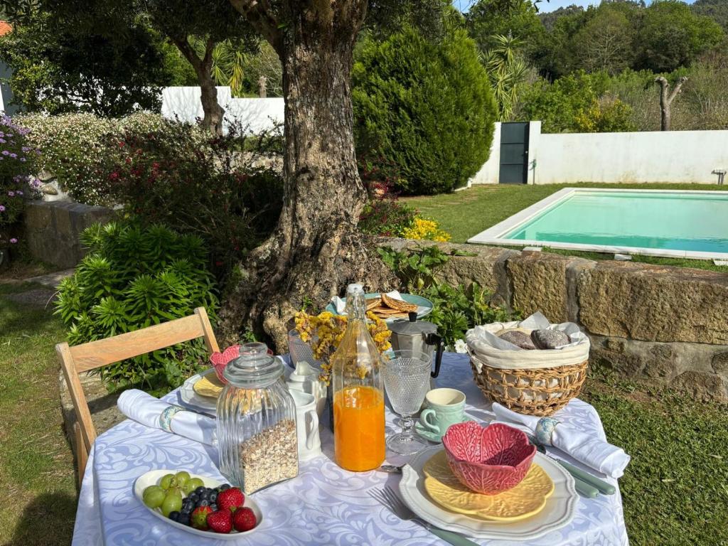Serra da Freita Concept House photo 3