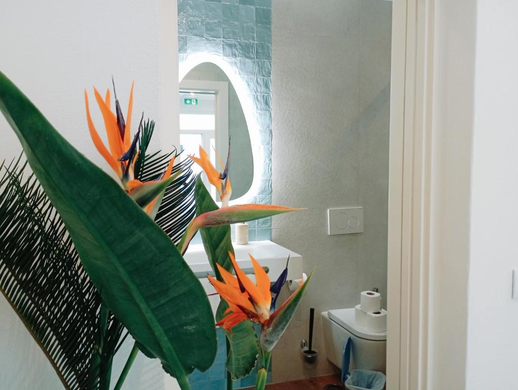 Santa Cruz - B&B photo 3