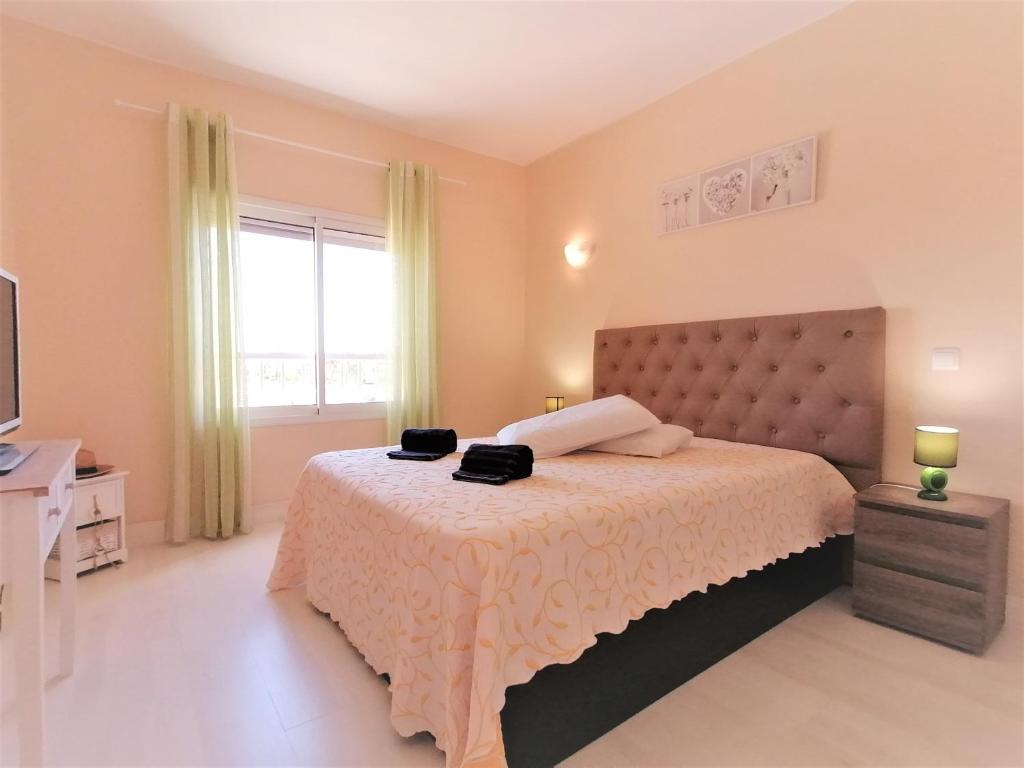 Summer Beach Apartment litoralmar photo 2