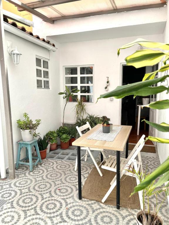 Shared Apartment With Bright Private Patio in Lisboa — photo 1