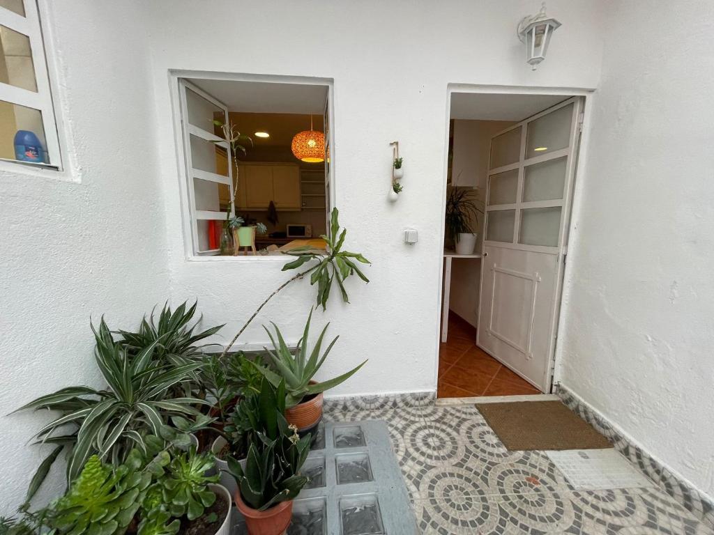 Shared Apartment With Bright Private Patio in Lisboa photo 2