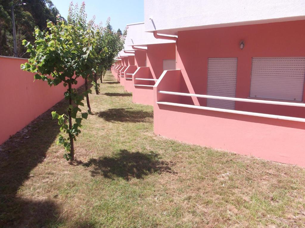 Ribeirotel photo 3