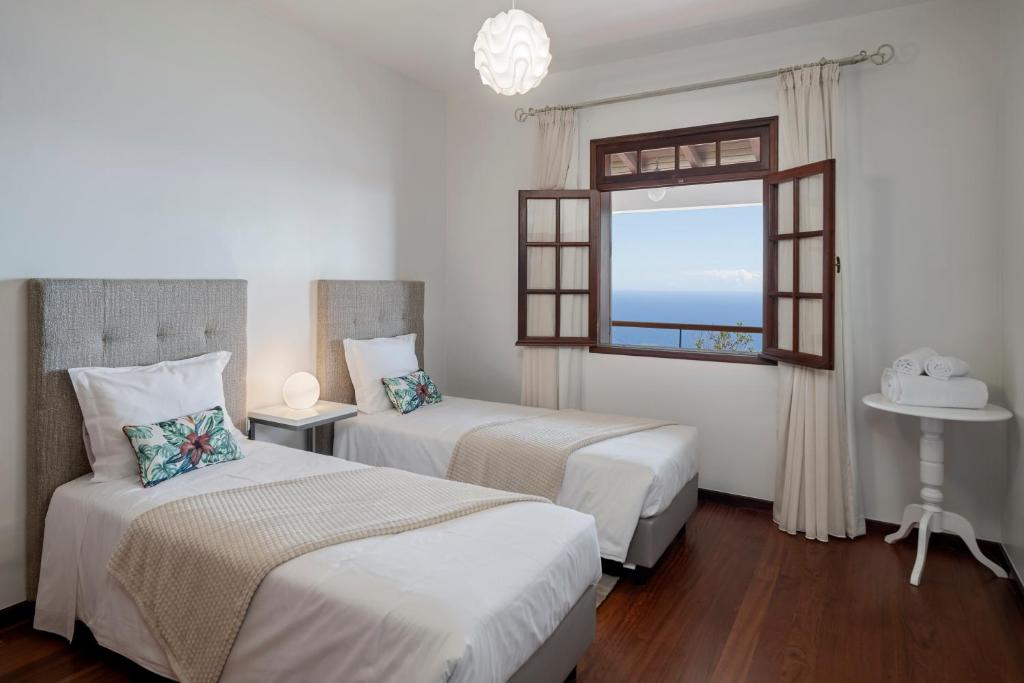 Southern Sunny House by An Island Apart photo 2