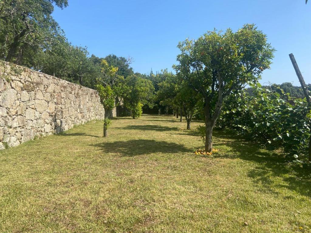 Quinta do Vale Vaqueiro photo 3