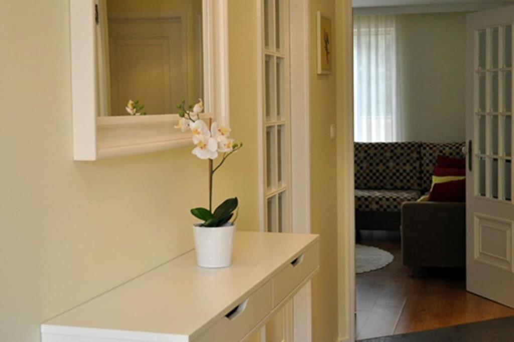 Sea and Pinewood Ofir Apartment photo 3