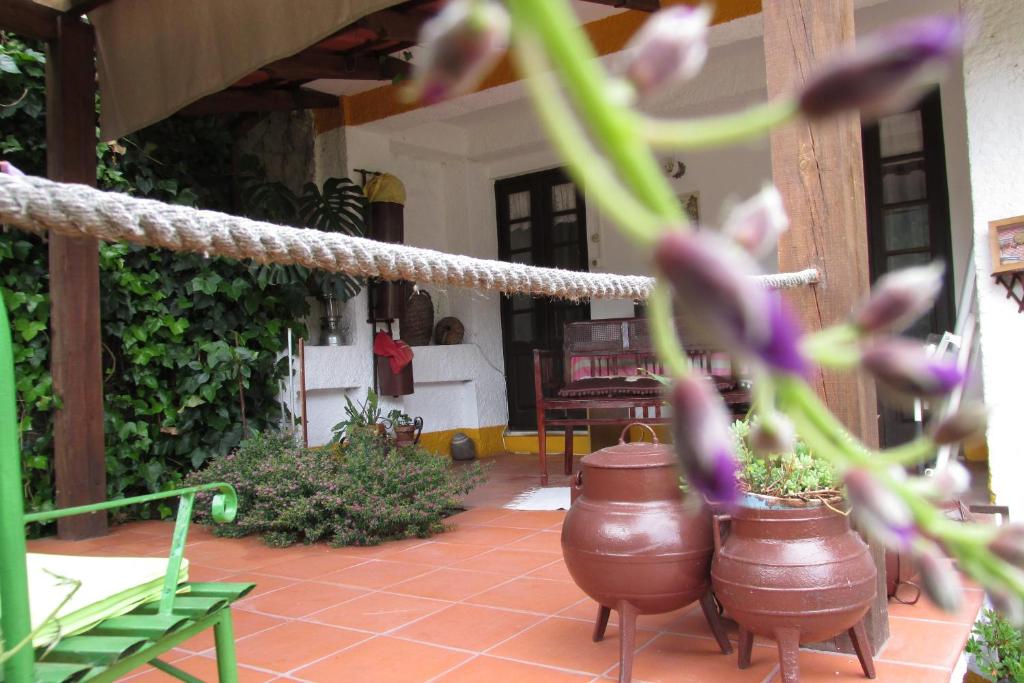 Terraços da Beira — photo 1