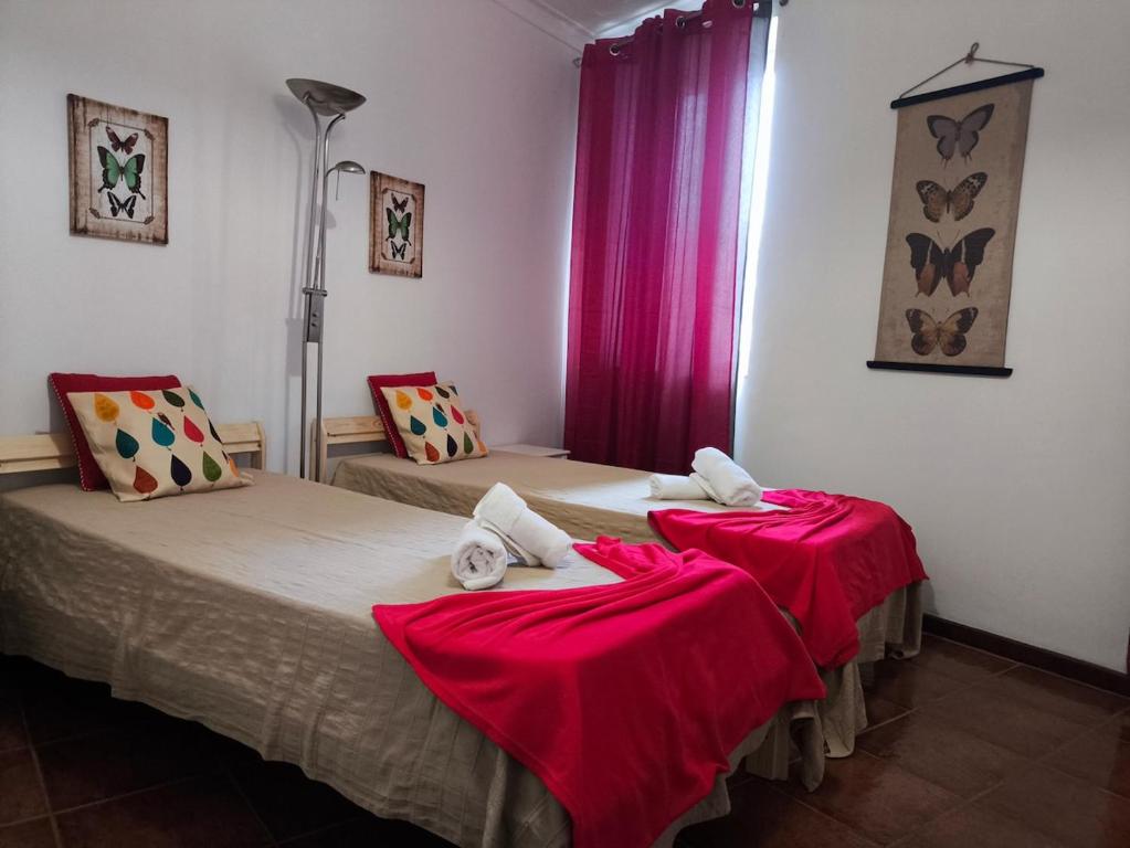 Sailor's House 3 - Casa dos Bibos photo 2