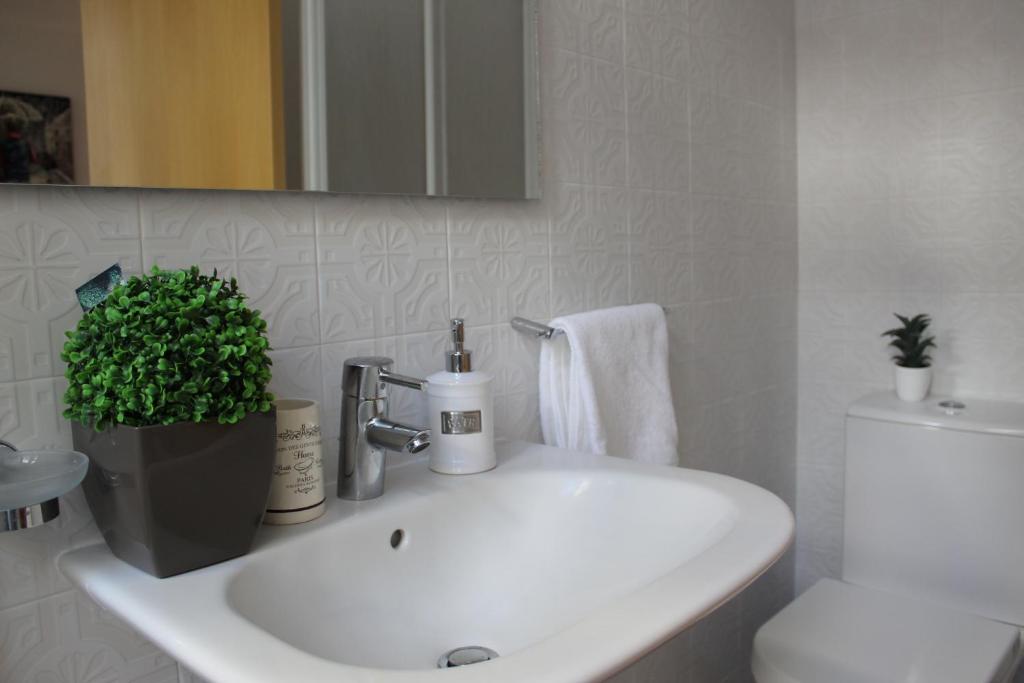 Coimbra Lovers - Arco de Almedina photo 3