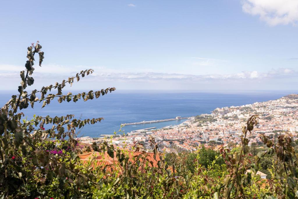 The View Flat by Rent-a-key — photo 1