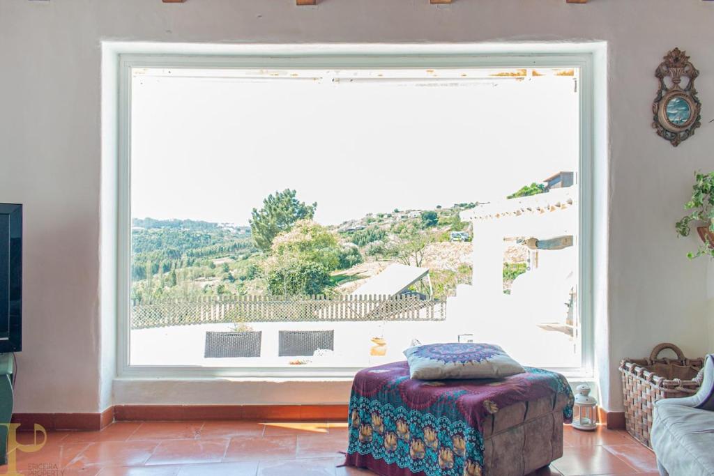 Window to the Valley — photo 1