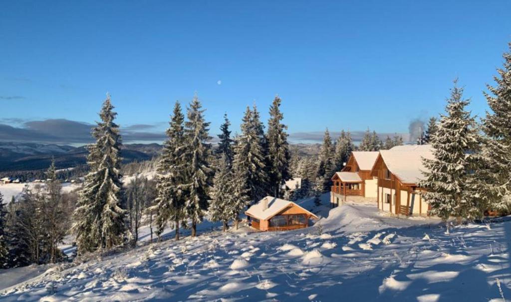 Tiarra Mountain Lodge photo 2