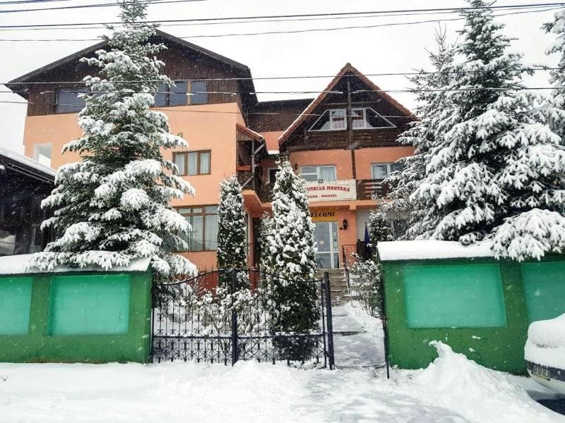 Pensiunea Agroturistică Piscul Soarelui — photo 1