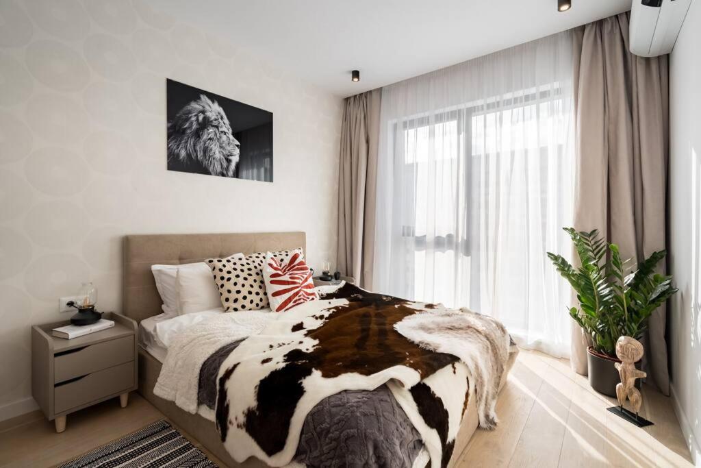 Tribal 1BR in Aviatiei — photo 1