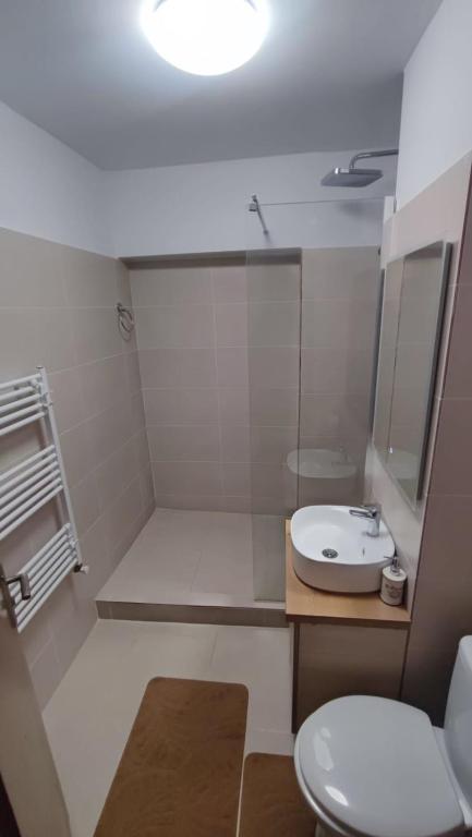 LC APARTMENTS Iași B photo 3