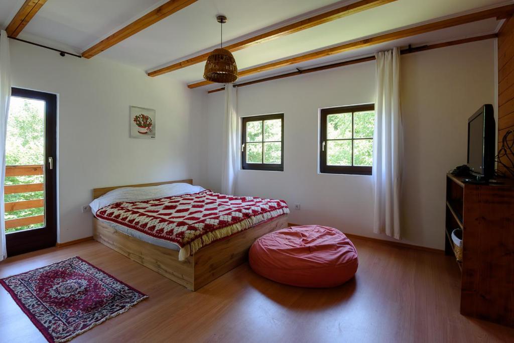 Susurul Apei Chalet photo 2