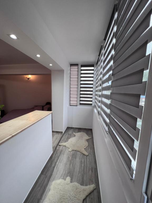 Studio in the city center photo 2