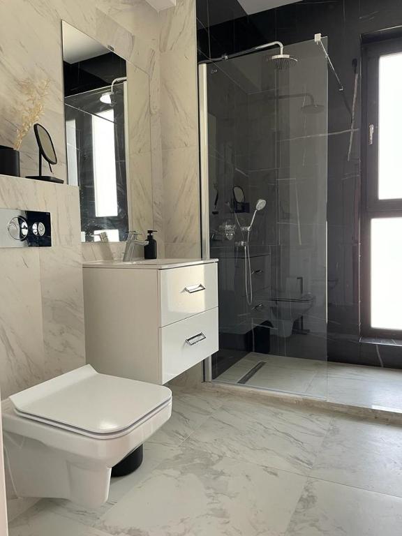 Shiba studio Mamaia photo 3