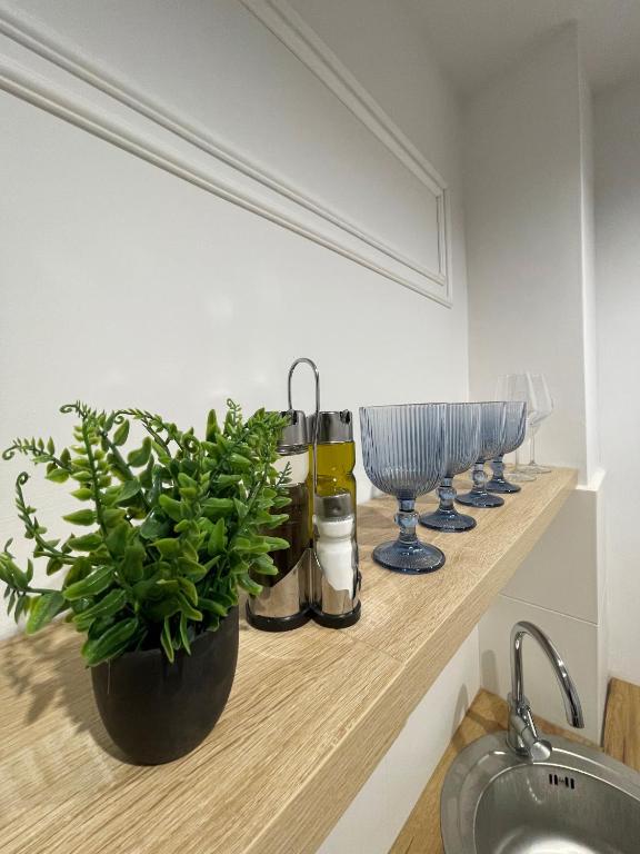 Studio Fălticeni photo 3