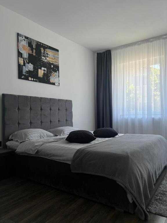 Silver House Rasnov photo 2