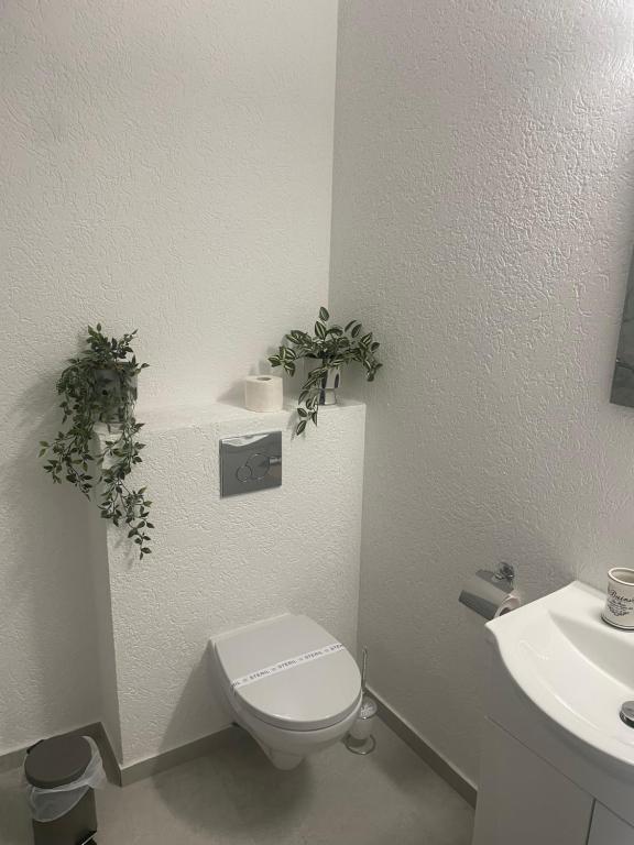Rubin Apartments photo 3