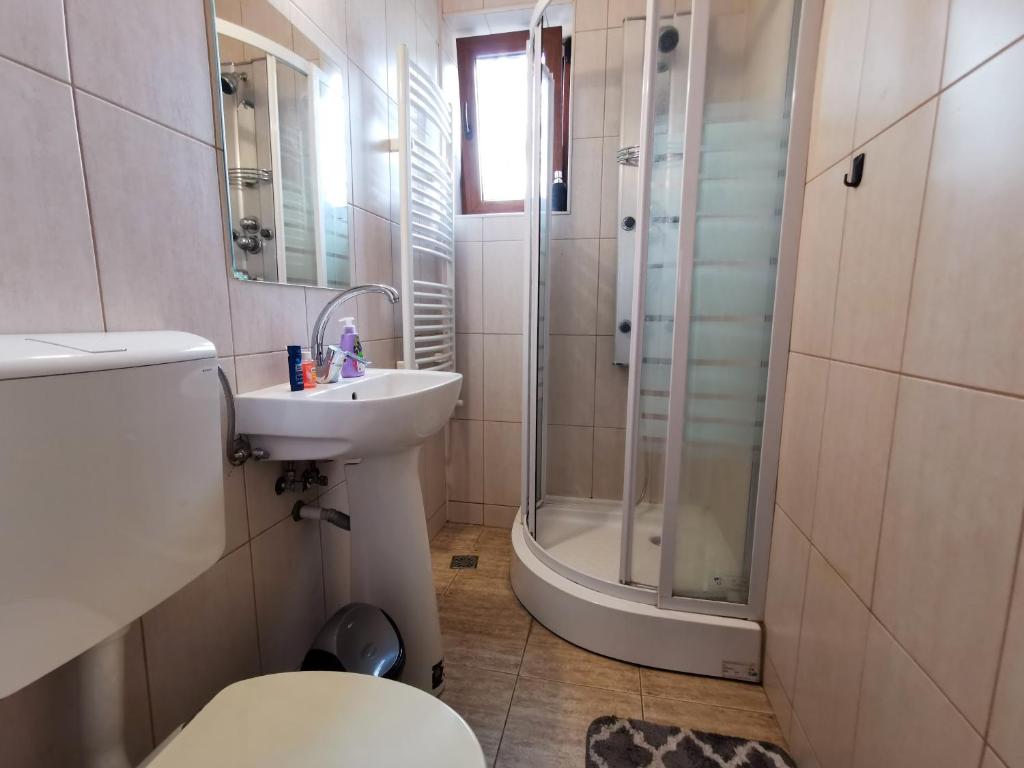 Butterfly Apartment-Hidden Gem in the Heart of Targu Mures photo 3