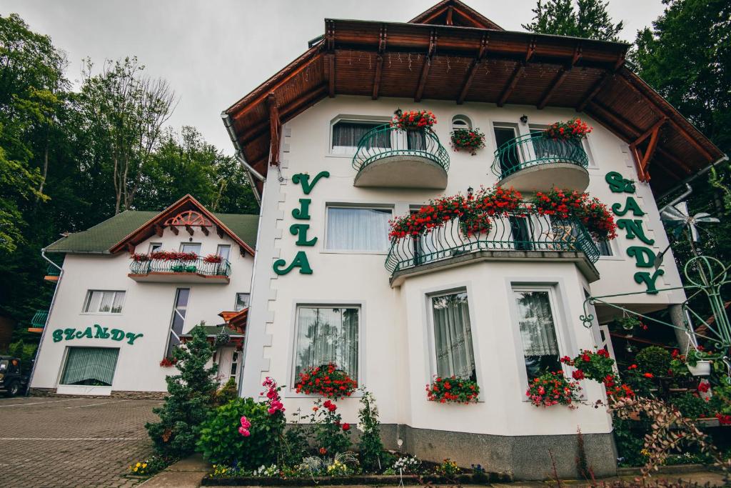 Szandy — photo 1