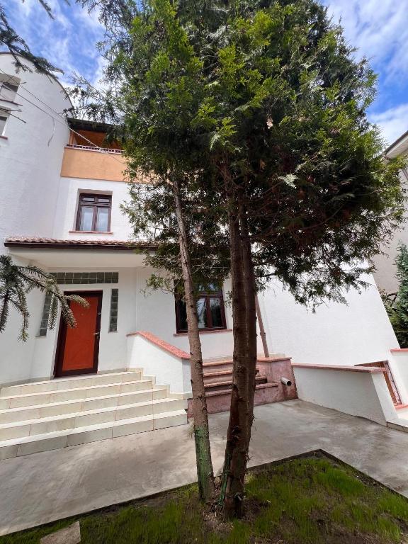 Serenity Apartments and Studios photo 3
